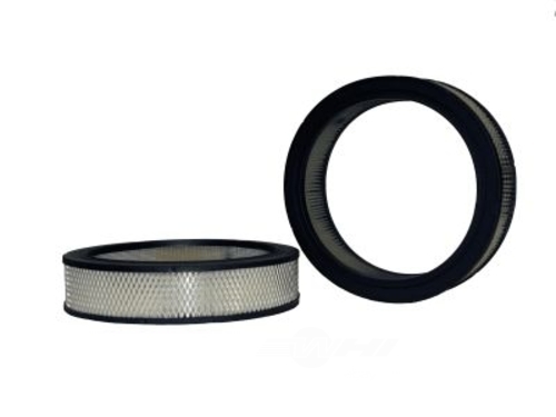 AIR FILTER, (42073)